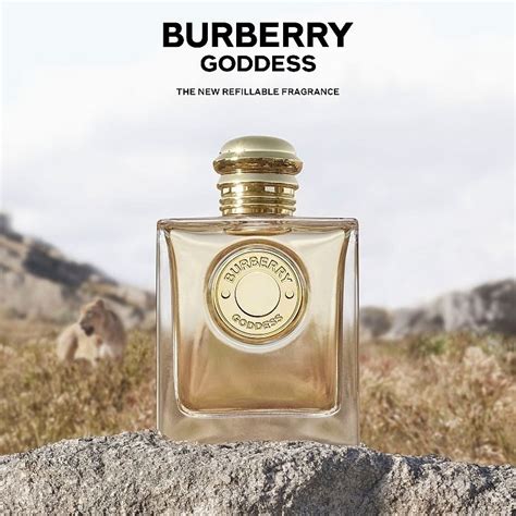 burberry goddess parfum notes|burberry goddess perfume 100ml.